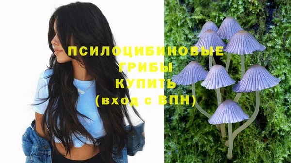 меф Новокубанск