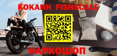 дмт Кингисепп