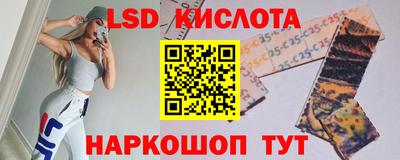 дмт Кингисепп