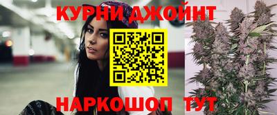 дмт Кингисепп