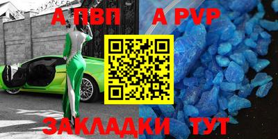 дмт Кингисепп