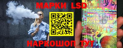 дмт Кингисепп
