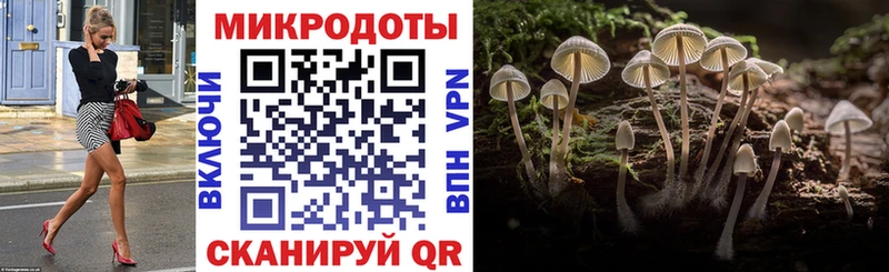 Галлюциногенные грибы прущие грибы  блэк спрут рабочий сайт  Петрозаводск 