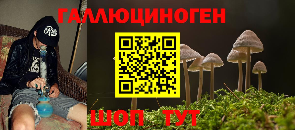 Псилоцибиновые грибы Cubensis  Вход с VPN  Петрозаводск 